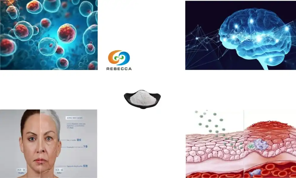 Is pterostilbene extract good for longevity? Is pterostilbene extract good for longevity?